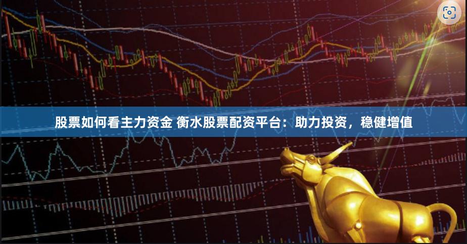 股票如何看主力资金 衡水股票配资平台：助力投资，稳健增值