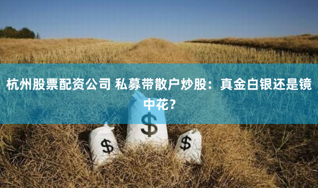 杭州股票配资公司 私募带散户炒股：真金白银还是镜中花？