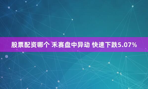 股票配资哪个 禾赛盘中异动 快速下跌5.07%