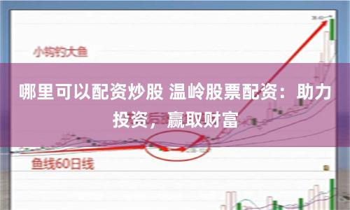 哪里可以配资炒股 温岭股票配资：助力投资，赢取财富