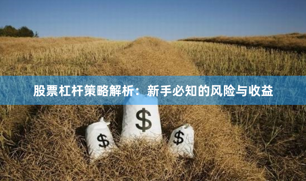 股票杠杆策略解析：新手必知的风险与收益